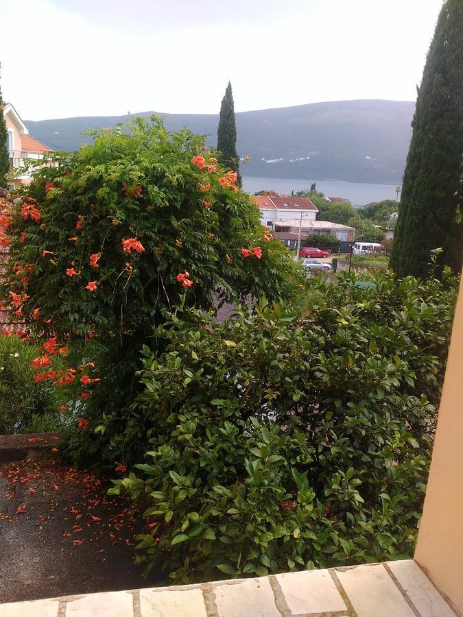 Sobe Baosici Marina Otel Herceg Novi Dış mekan fotoğraf